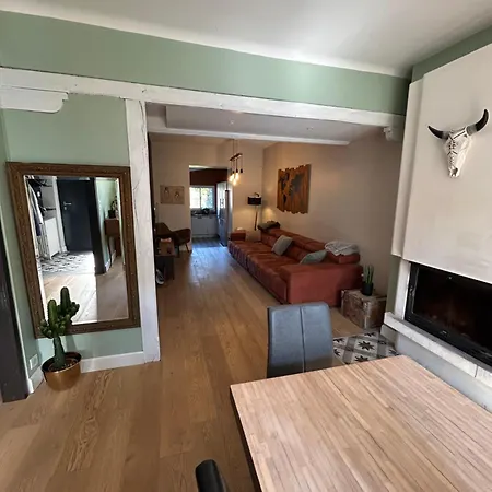 Maison De Avec Piscine, 9 Personnes Albi